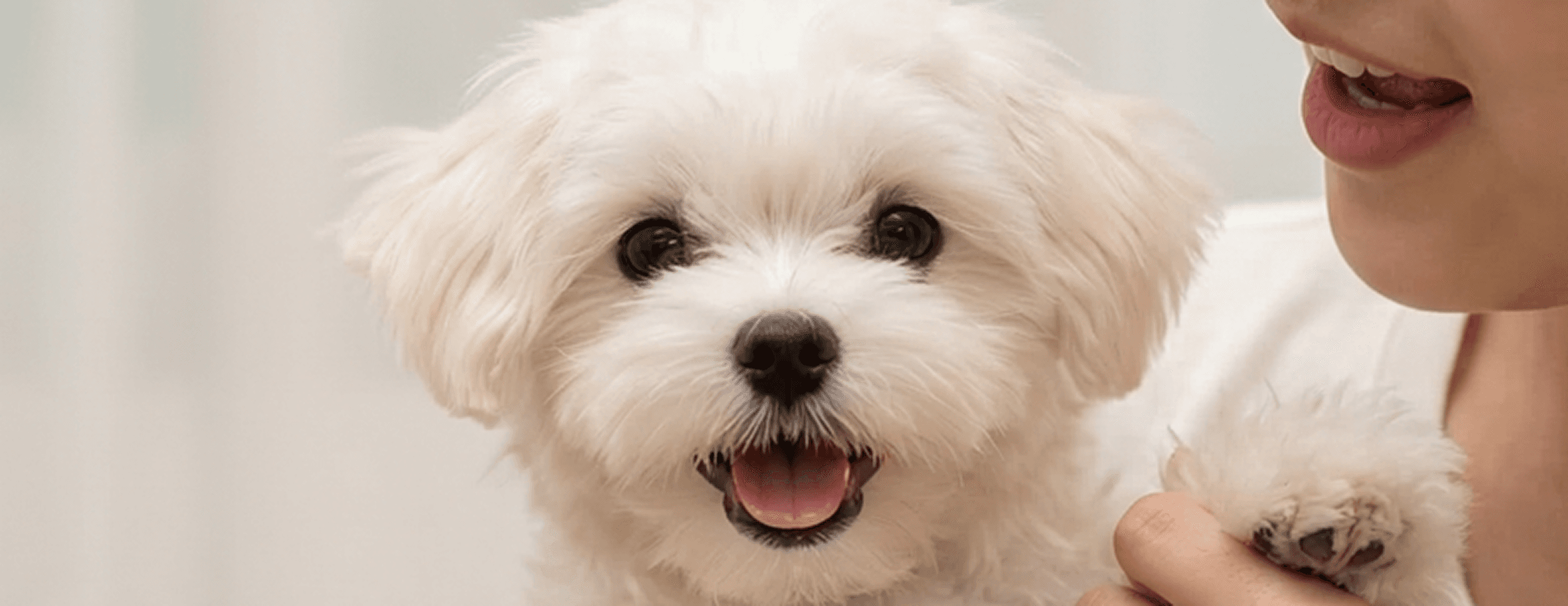 밀리크 브랜드 소개 배너